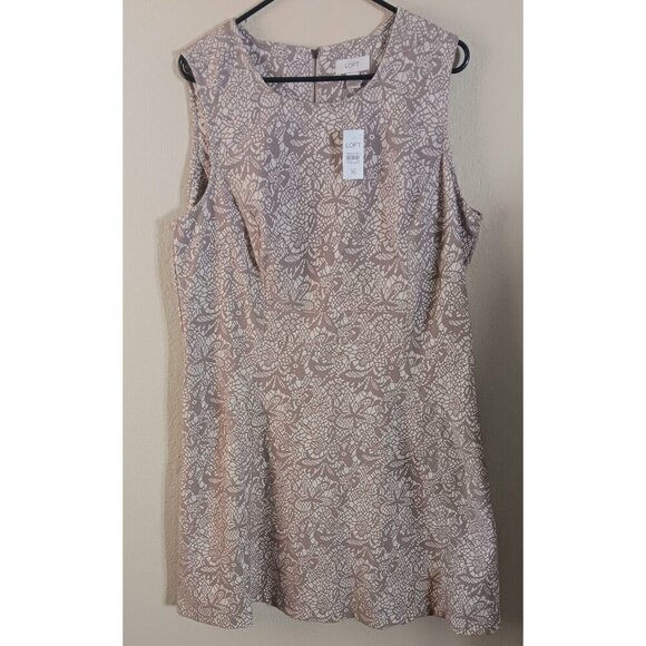 LOFT Lace Print A-Line Sleeveless Sheath Dress Size 16 Beige Tan Summer Wedding - Picture 1 of 10